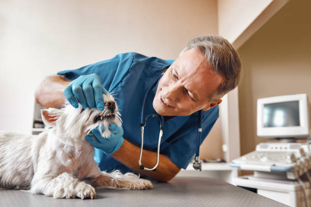 Best Emergency Tooth Extraction in Four Oaks, NC